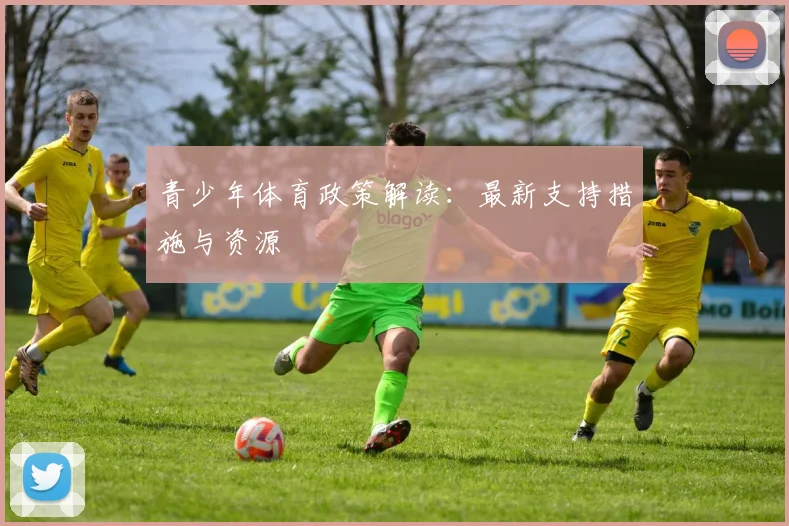 青少年体育政策解读：最新支持措施与资源
